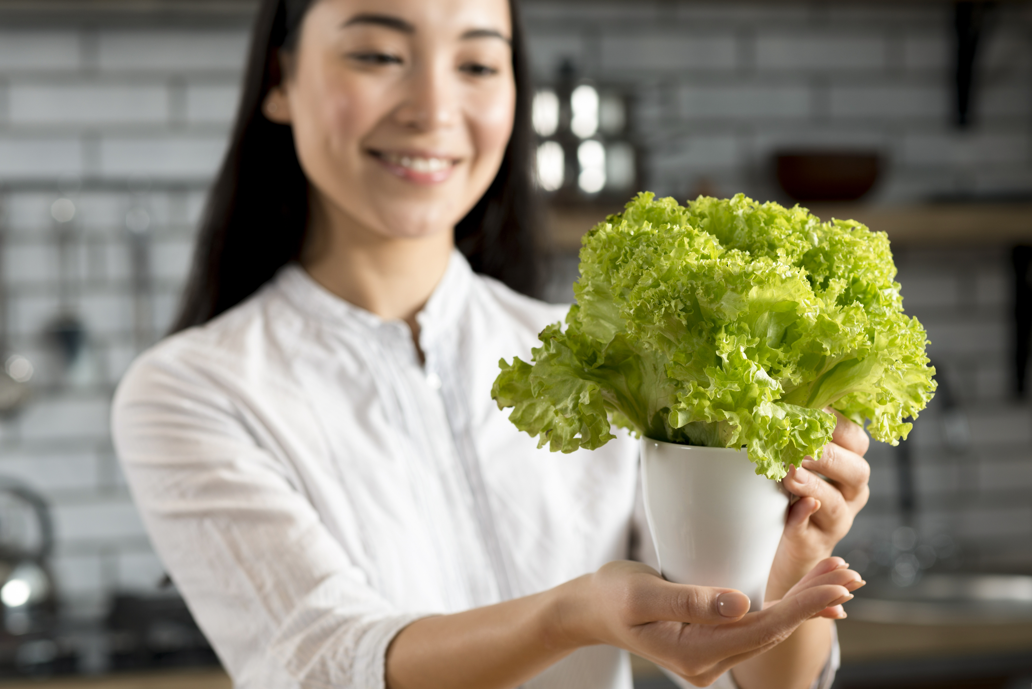 Cara Menjimatkan Bil Dapur RM200 Sebulan dengan Kebun Hidroponik di Balkoni