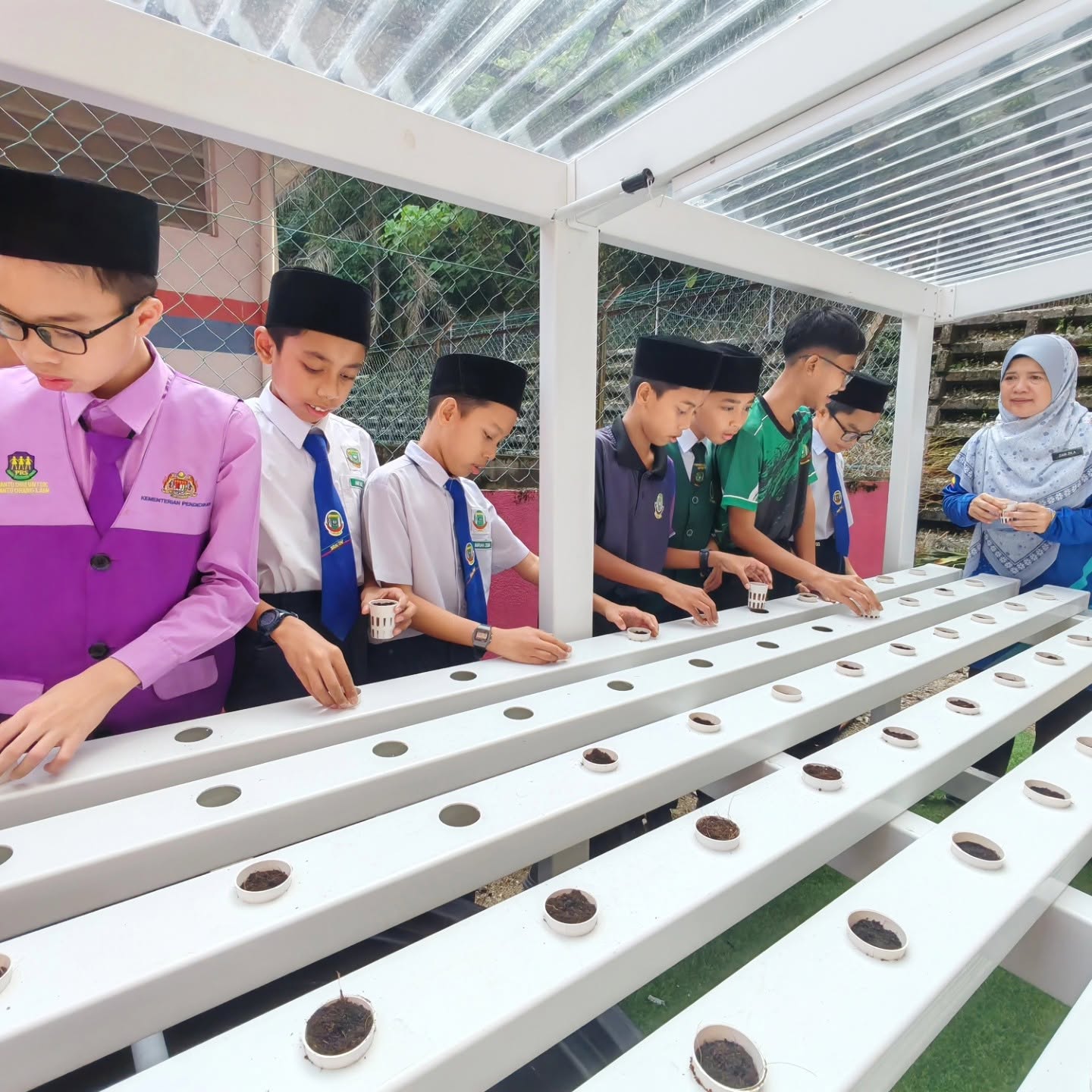 Toclan school hydroponic kit and hands-on learning