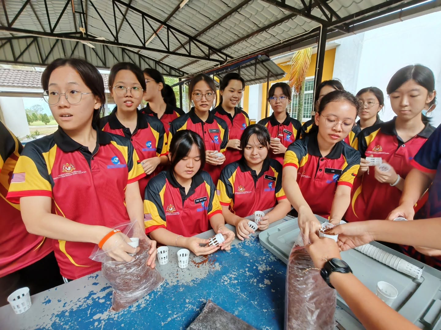 Toclan school hydroponic installation and workshop