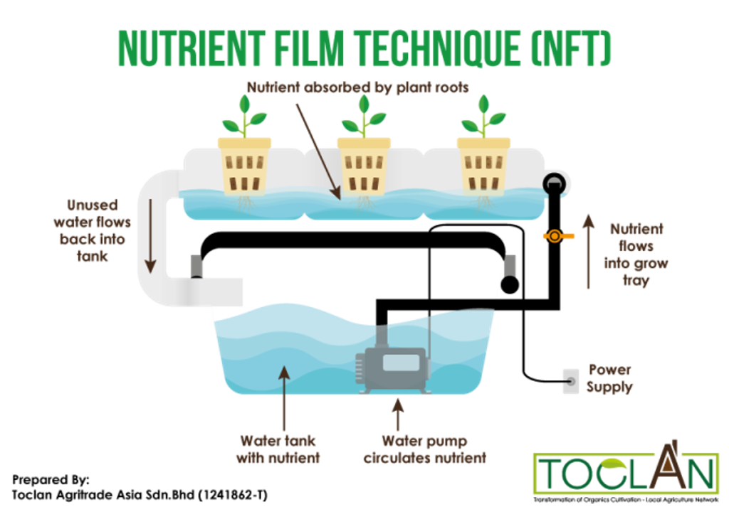 What Is NFT Hydroponic Systems?