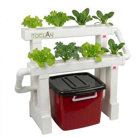 Gemini_Generated_Image_a6f518a6f518a6f5