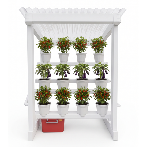 Socmed  - 1080x1080 (3)