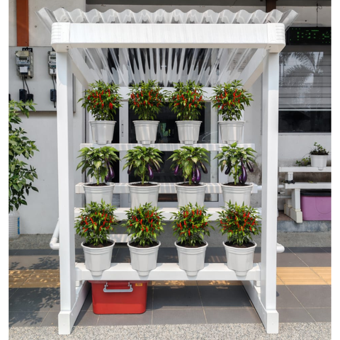 Socmed  - 1080x1080 (5)