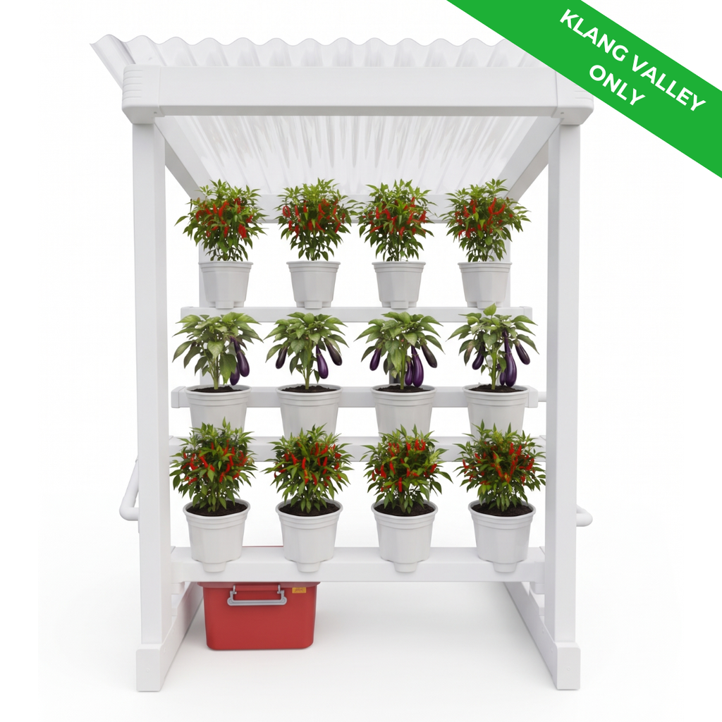 Socmed  - 1080x1080 (2)