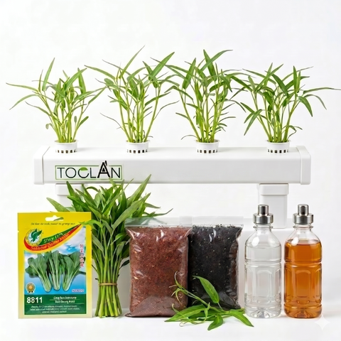 Gemini_Generated_Image_qh9c7xqh9c7xqh9c