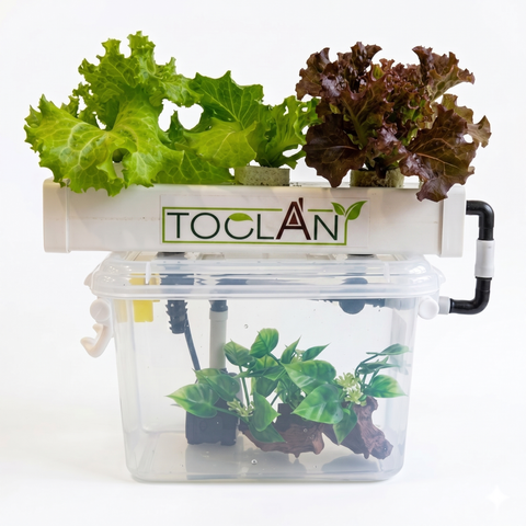 Gemini_Generated_Image_ciho9wciho9wciho