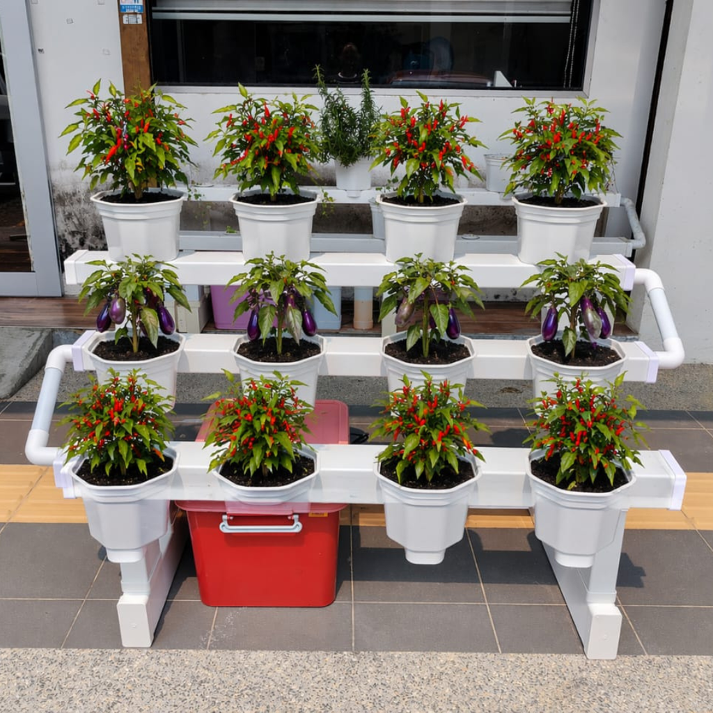 Socmed  - 1080x1080 (11)