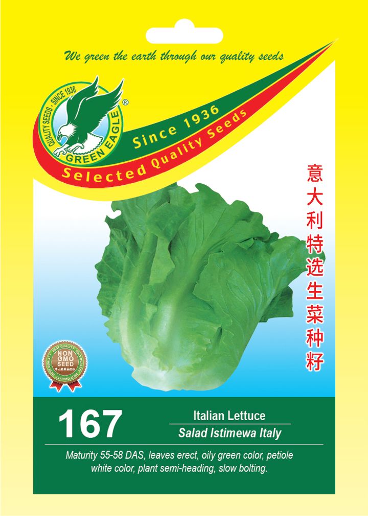 167 - Italian Lectuce.jpg