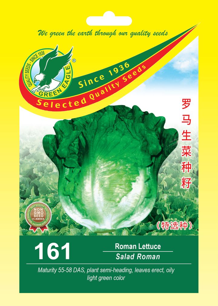 161 Roman Lettuce.jpg