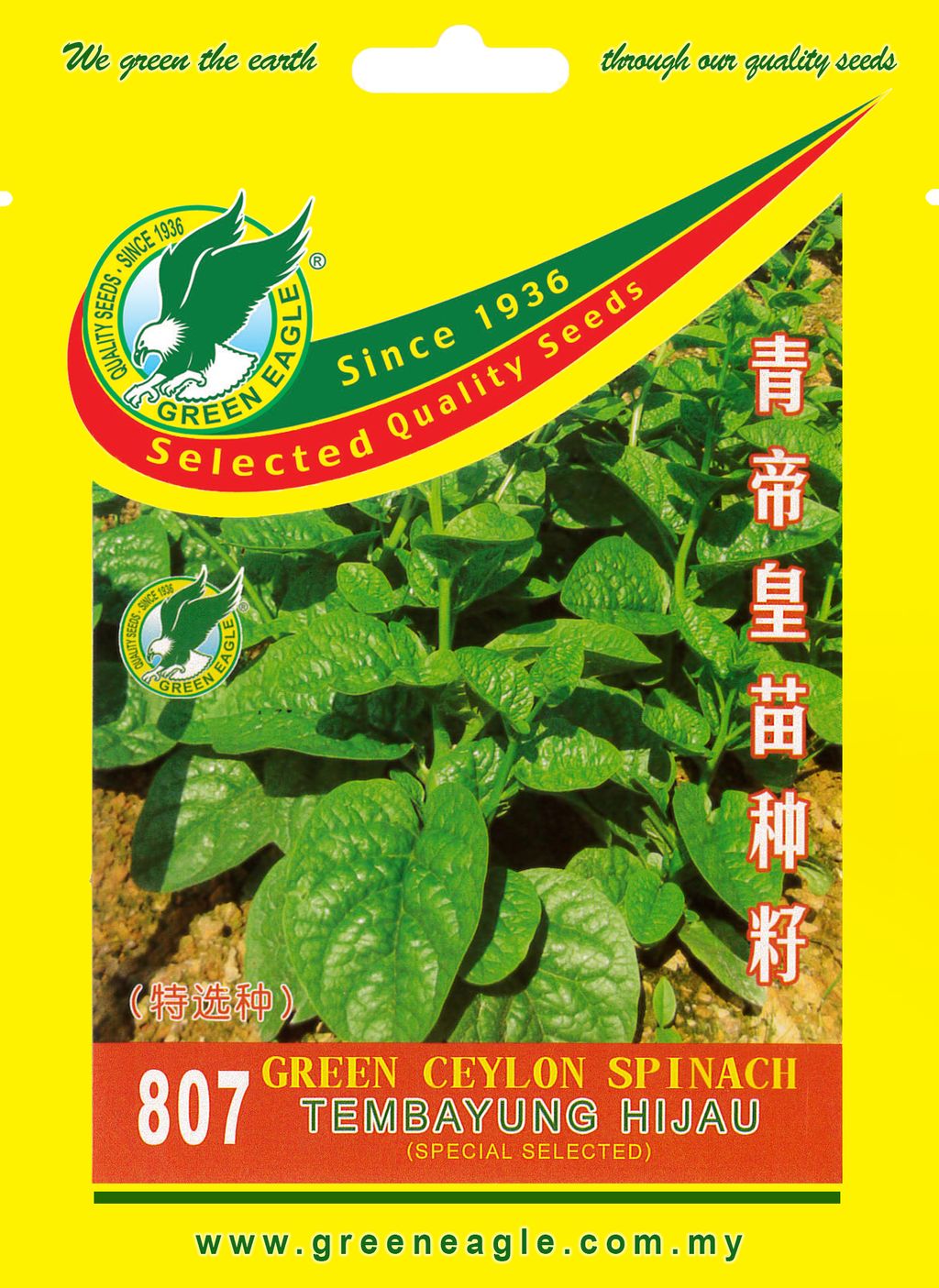 807-Green-Ceylon-Spinach.jpg