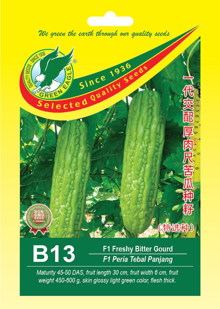 B13-11.5x16.5袋子.jpg
