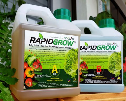 RapidGrow AB Fertilizers (Liquid) - 2L.jpg