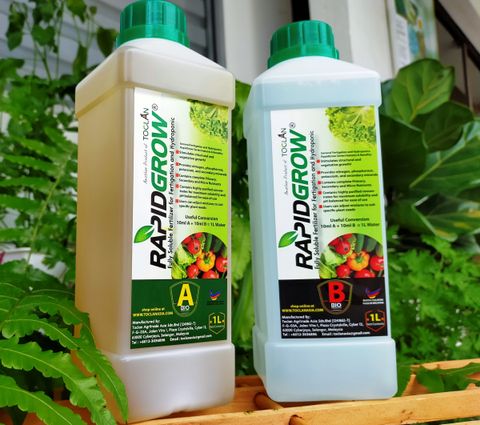 RapidGrow AB Fertilizers (Liquid) - 1L.jpg