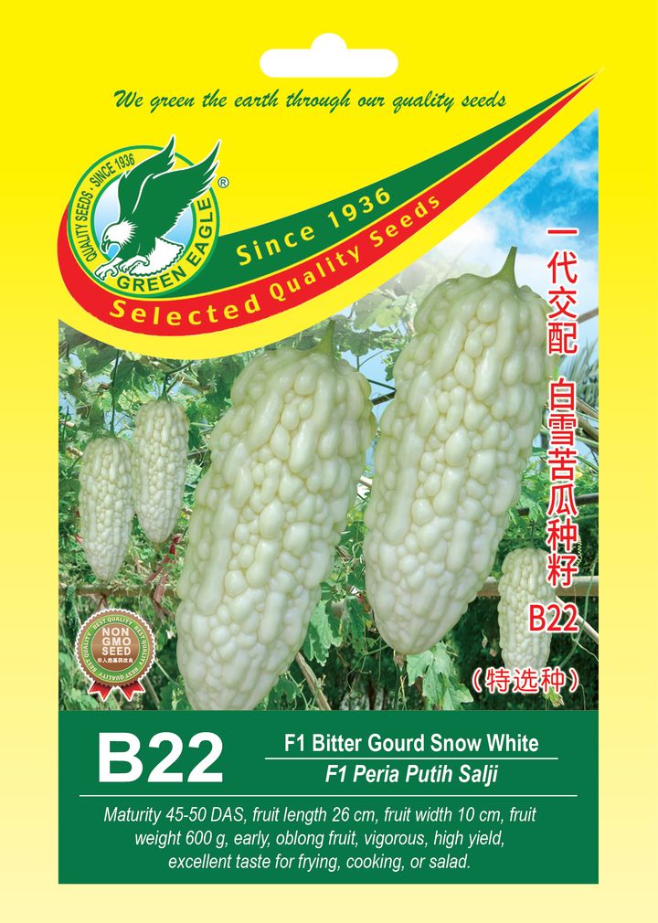 B22-bitter-gourd.jpg