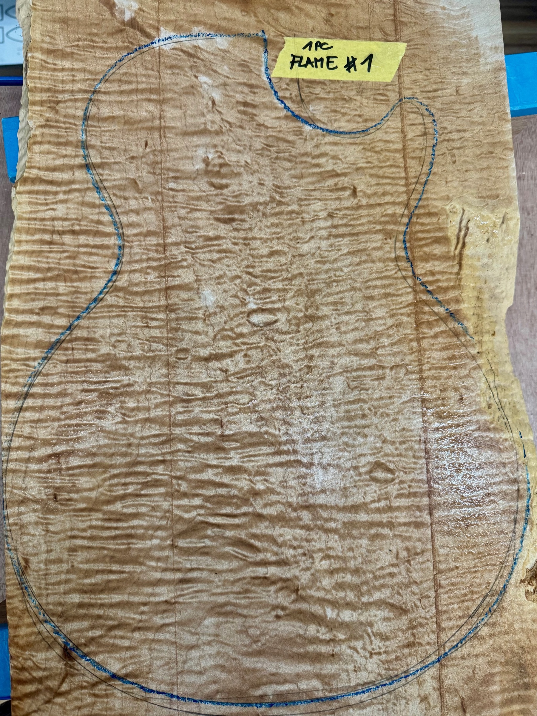 1pc Maple curly:quilty Eastern Maple