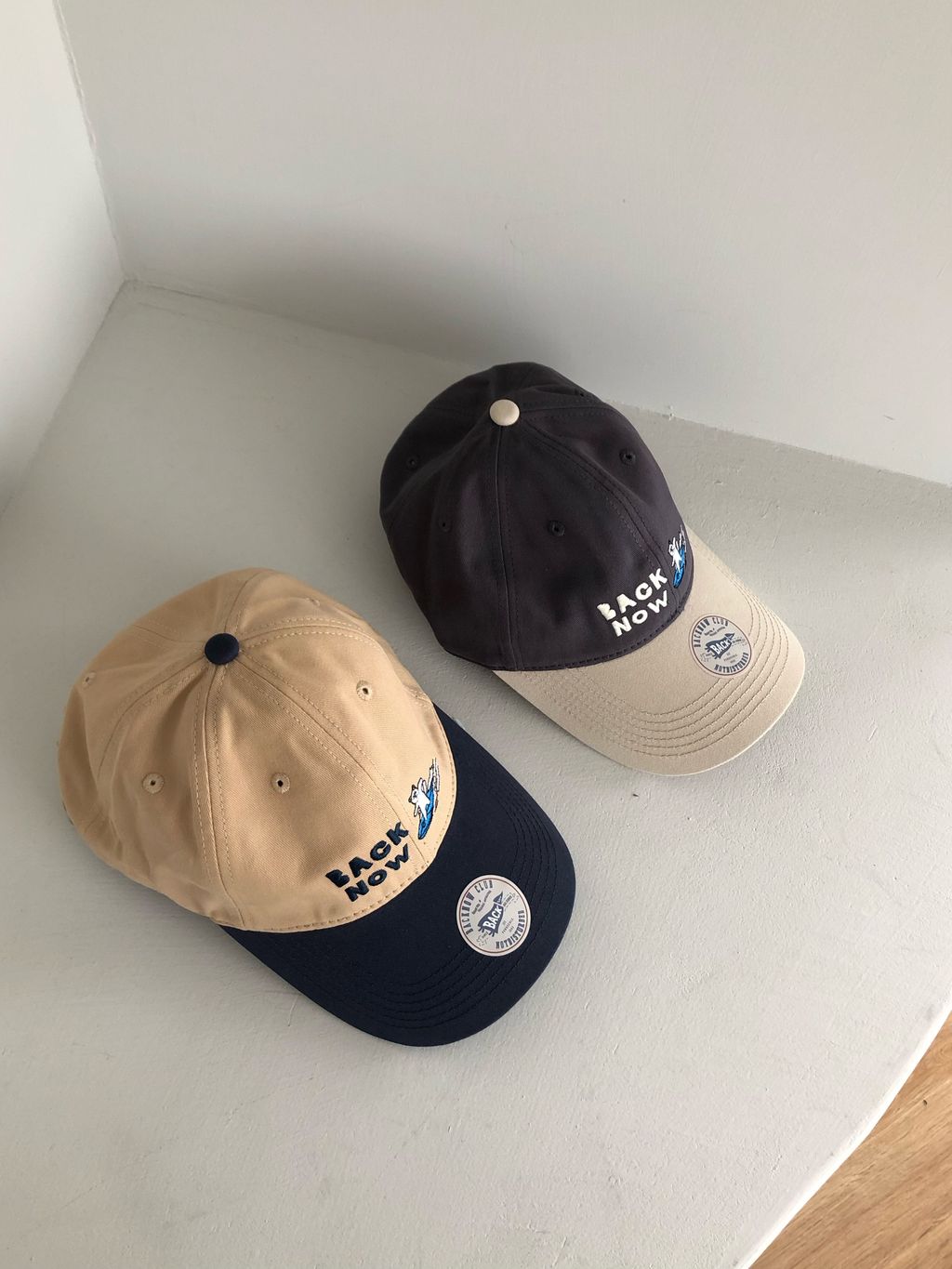 image_B8D161C4-BCCE-4B96-9852-D0137BF8FE6E_1763043139