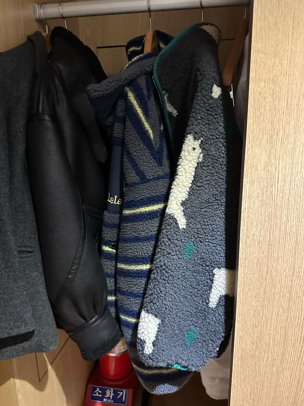 image_C3839AE5-C7D0-4A49-85AD-8BD2A67C8010_1768622169