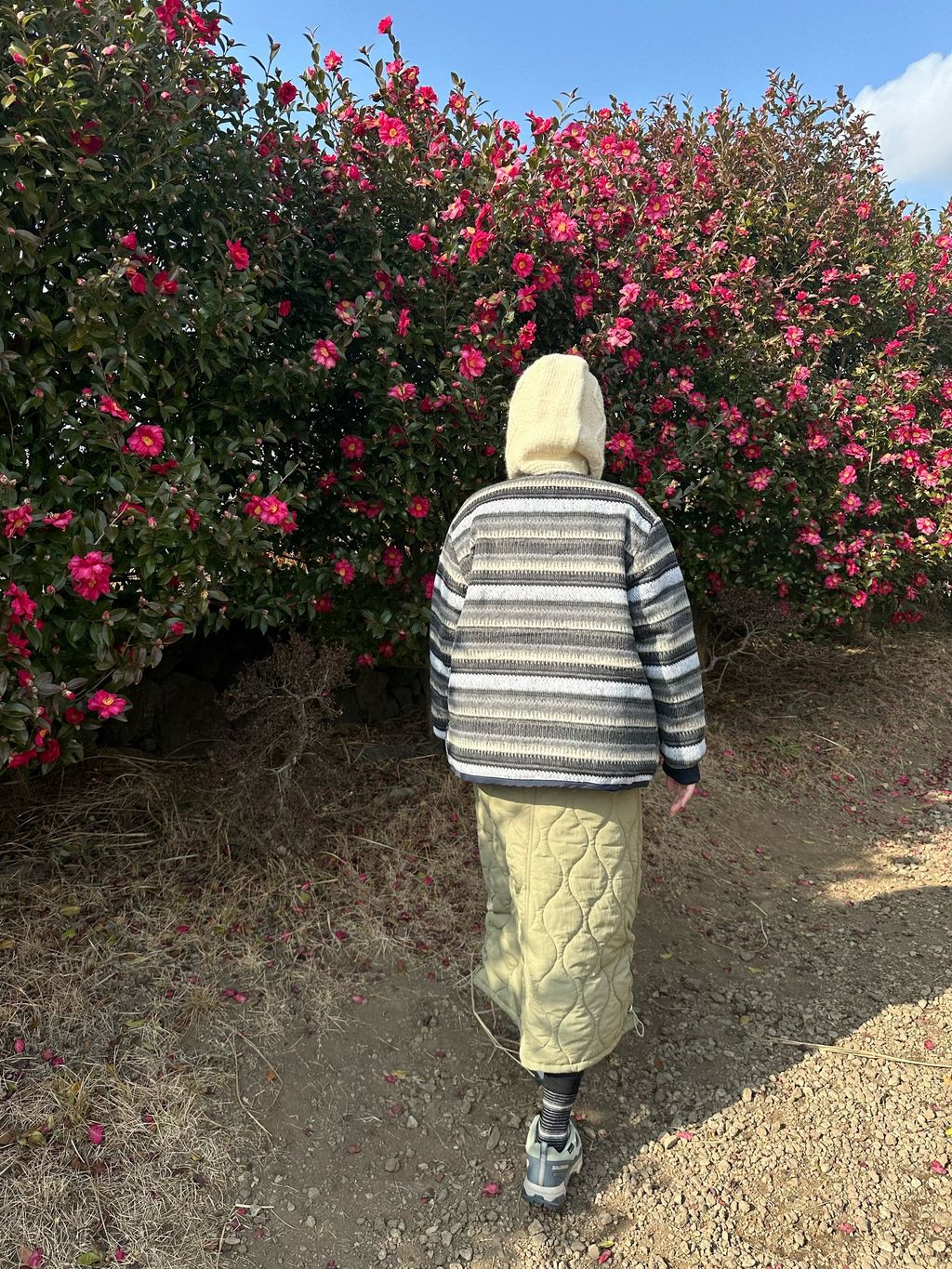 image_EFABE49A-8B15-468E-A9FA-543915E5046B_1768627535