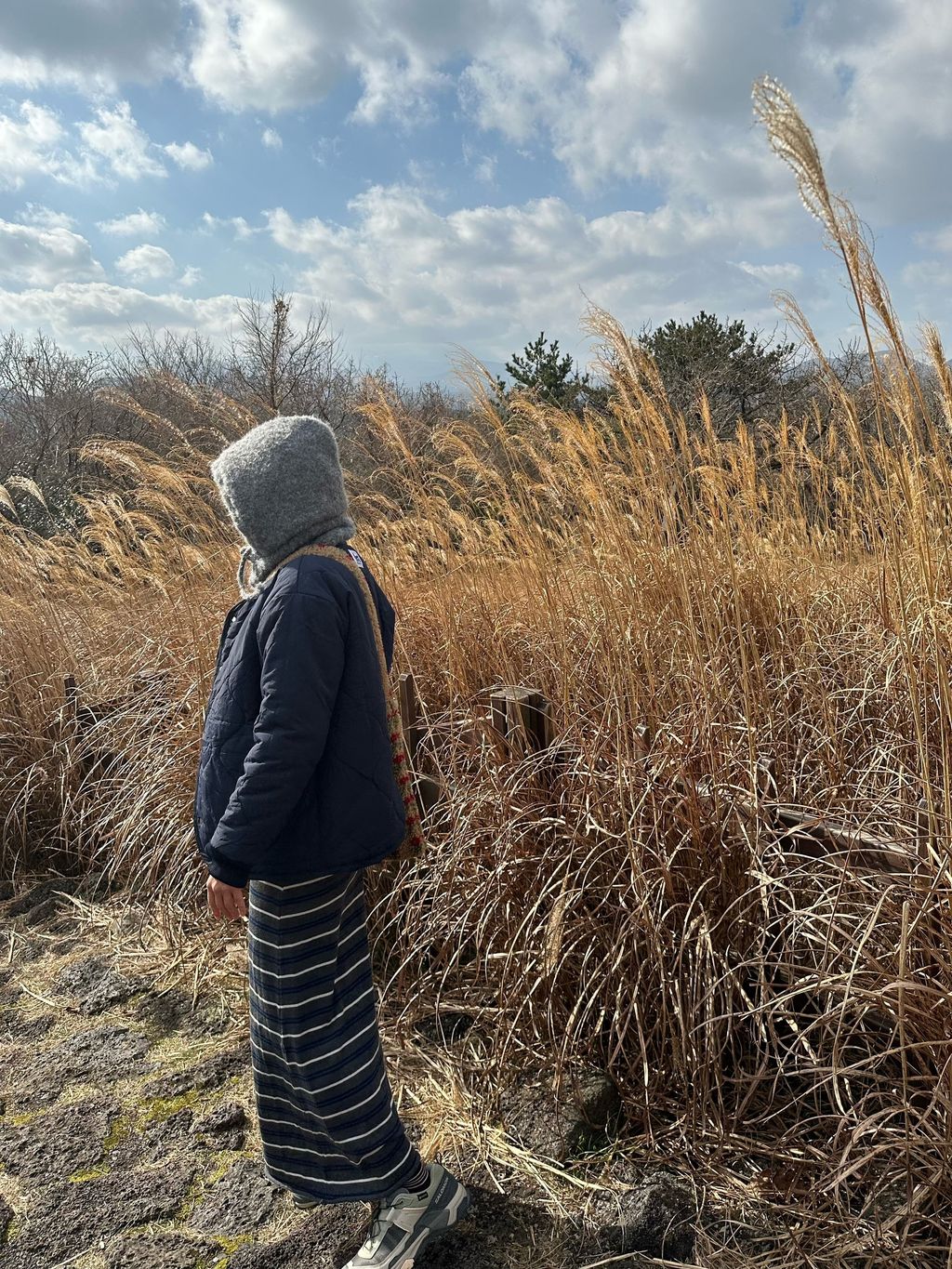 image_BB5ABB8C-5EA7-432A-AB41-0CBE1F08272B_1768627535