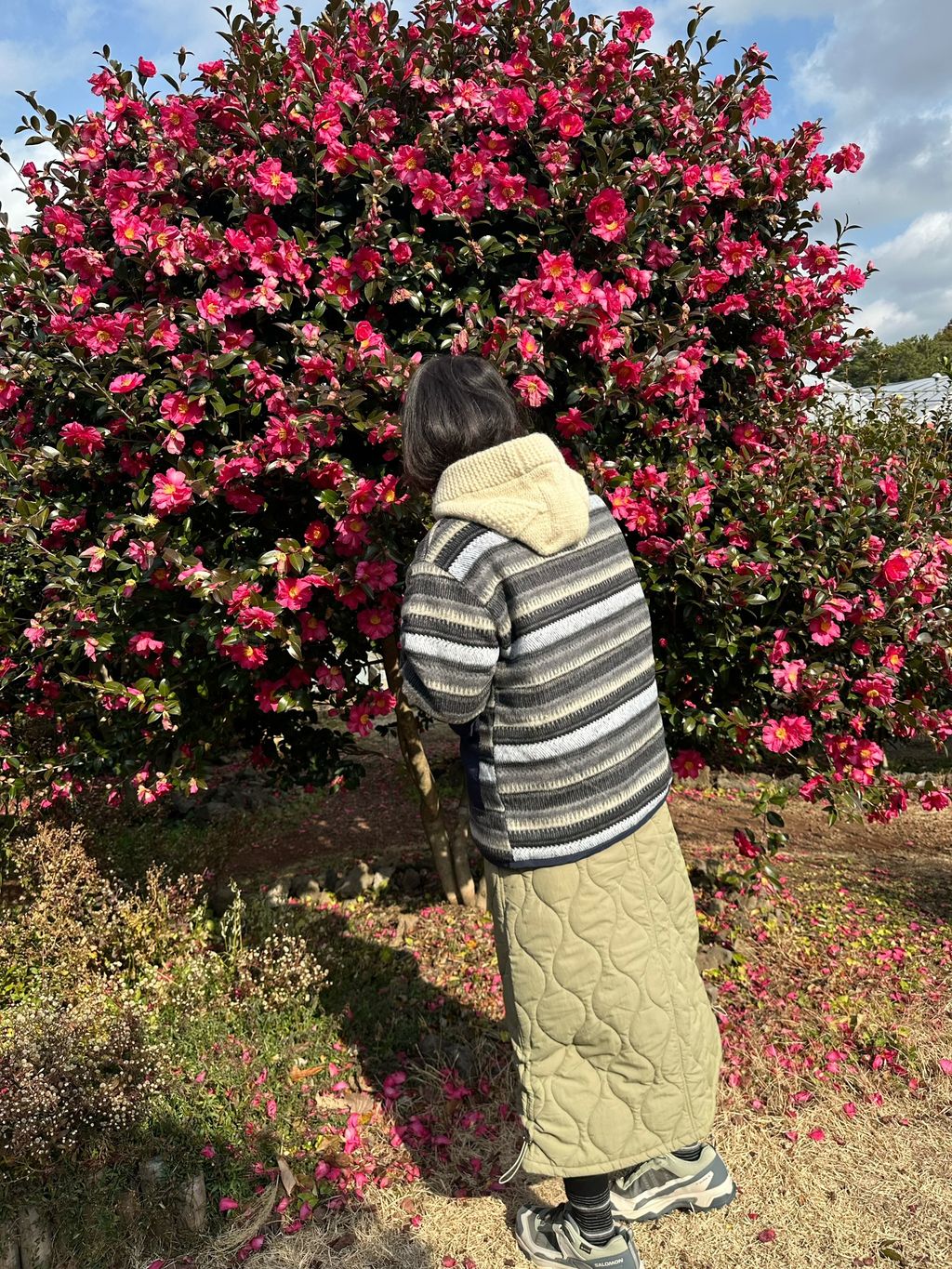 image_16FB1CA0-EC8A-405A-8E75-CA80FE411007_1768627659