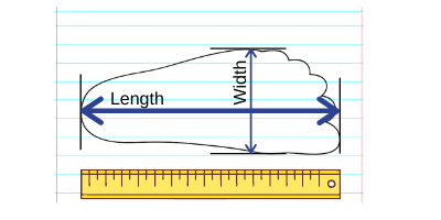 Foot Measurement.png