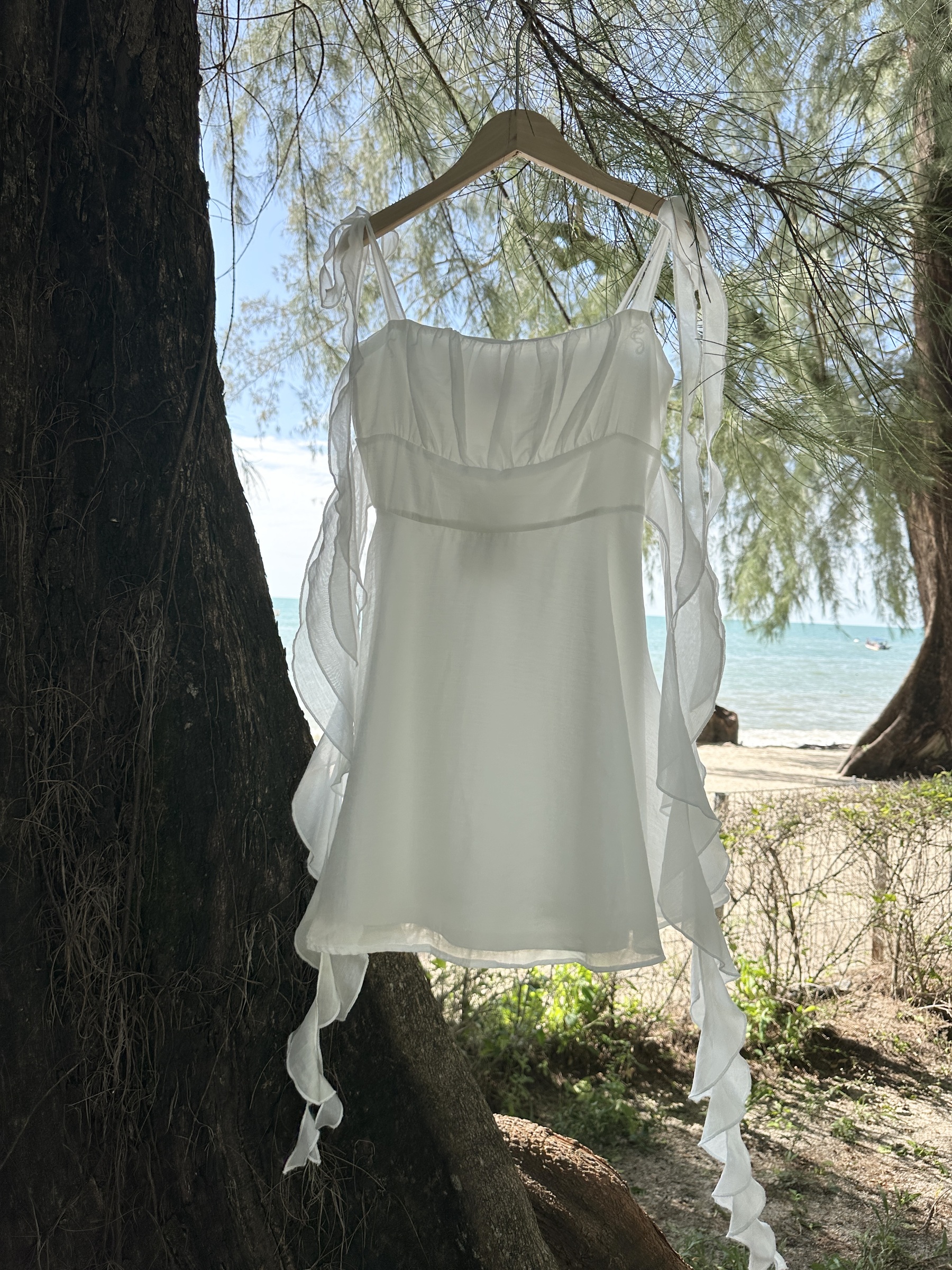 image_DAED08C4-7B61-4FD7-B247-00B510A6765D_1757593831