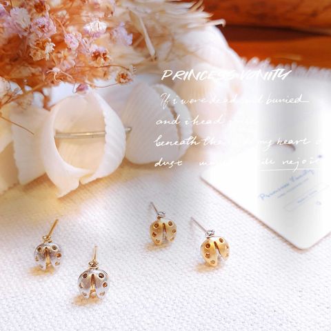 360125996_7276084832406562_1958566996462388883_n