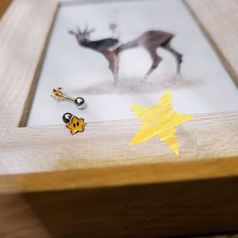 395243149_7650451661636542_5979194001286258422_n