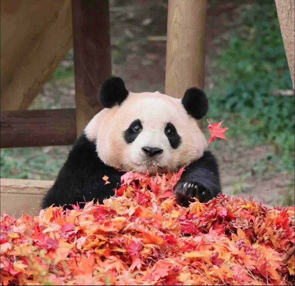 393278545_7621095644572144_8365070055907015136_n