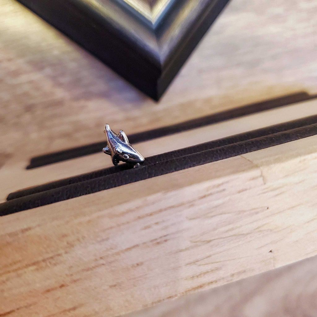 393336810_7621214204560288_4218258768161930444_n