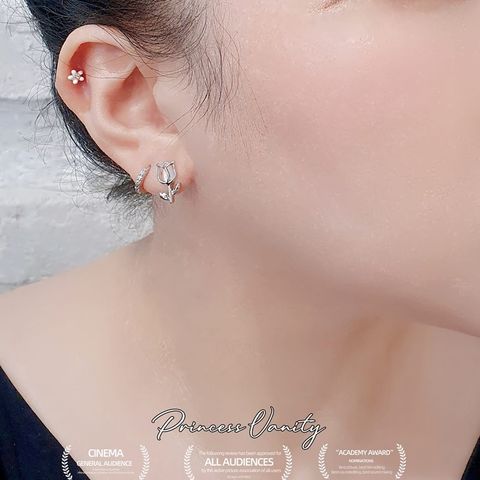 446990148_8550771321604567_1847842669852313478_n1