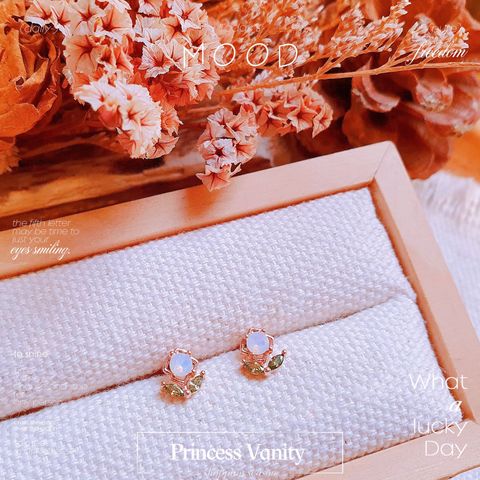 472315174_9969085153106503_5919056198083149399_n