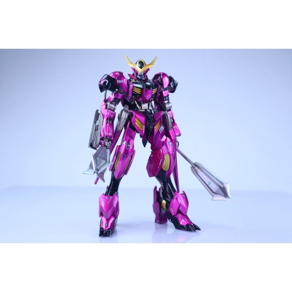 Ready Made Custom Painted Gunpla Model Kit. Gundamts
