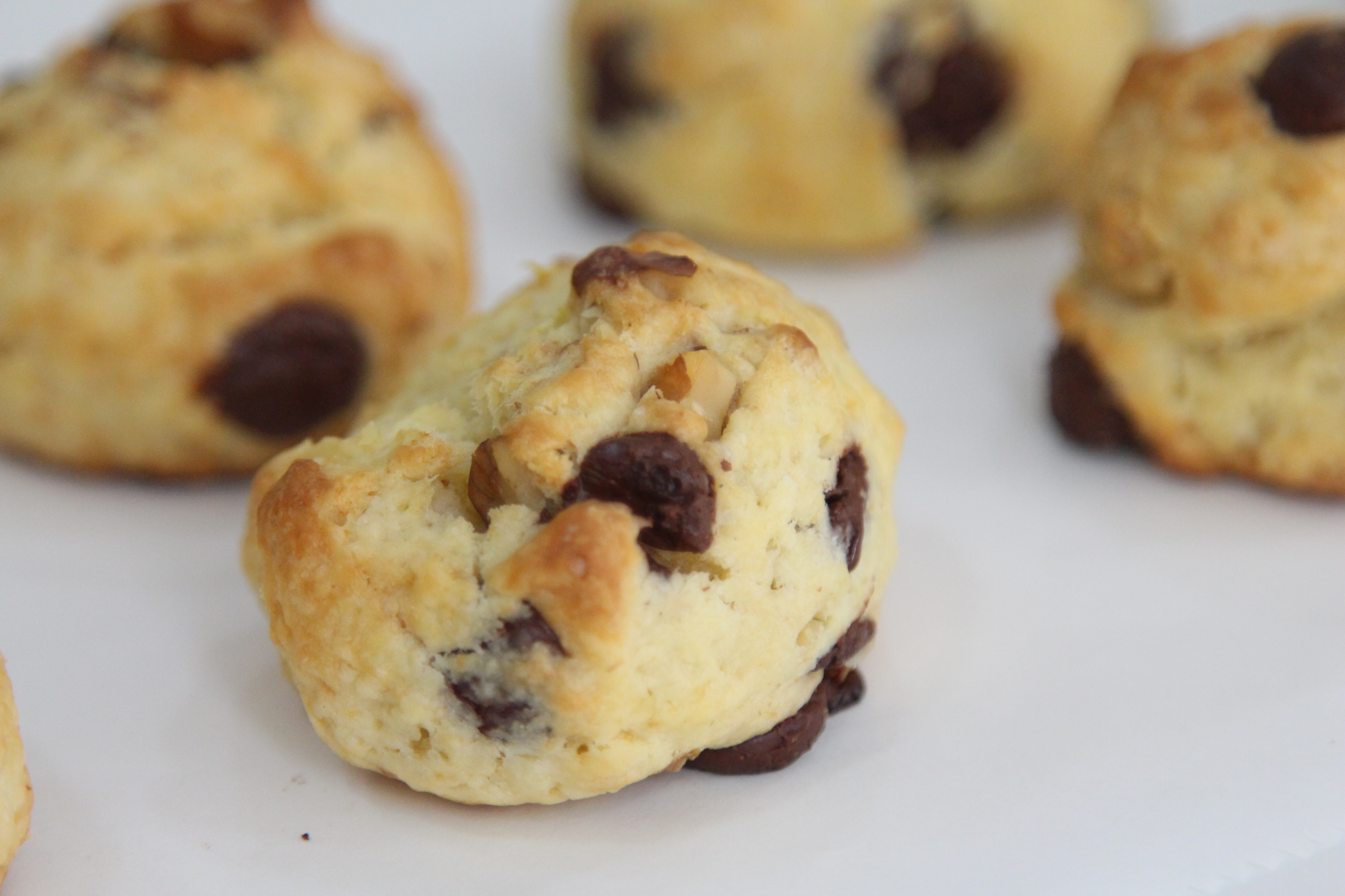 IMG_5112.JPG IMG_5112.JPG