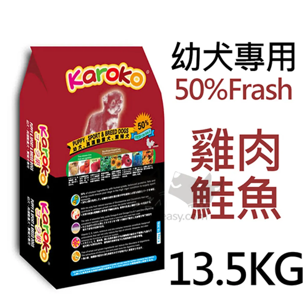 幼犬13.5.jpg