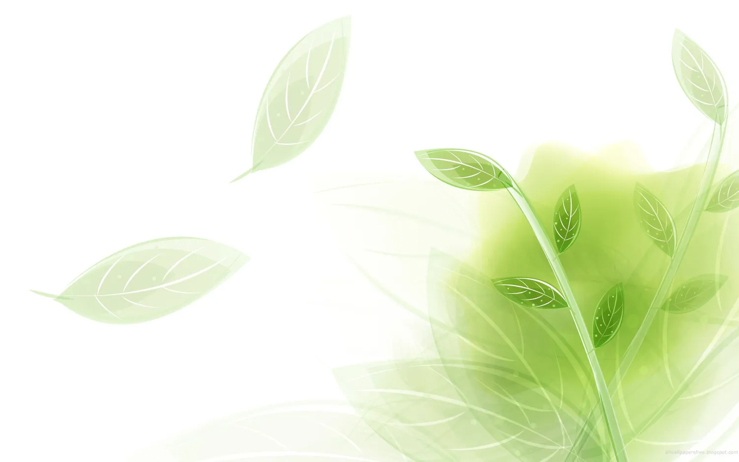 MM NETWORK : eShop | Get Our Latest Promotion