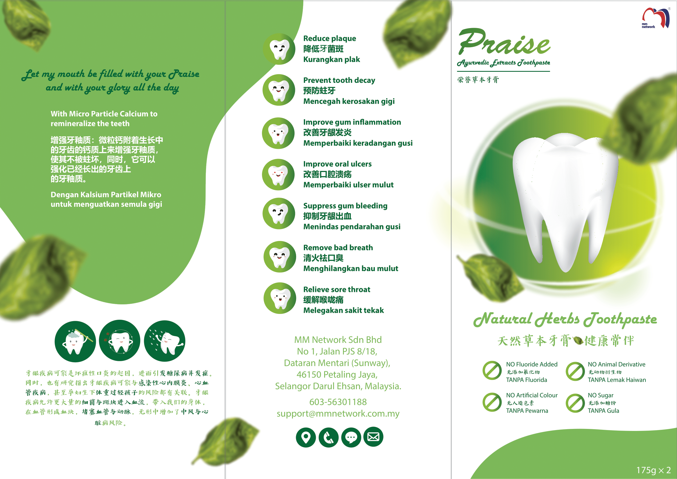 Toothpaste leaflet-1.png