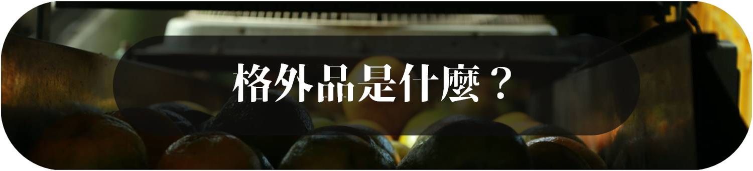 格外農品GoodWill Foods | 