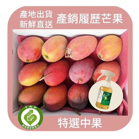 未命名設計 (5)