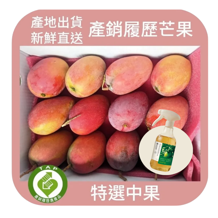 未命名設計 (5)