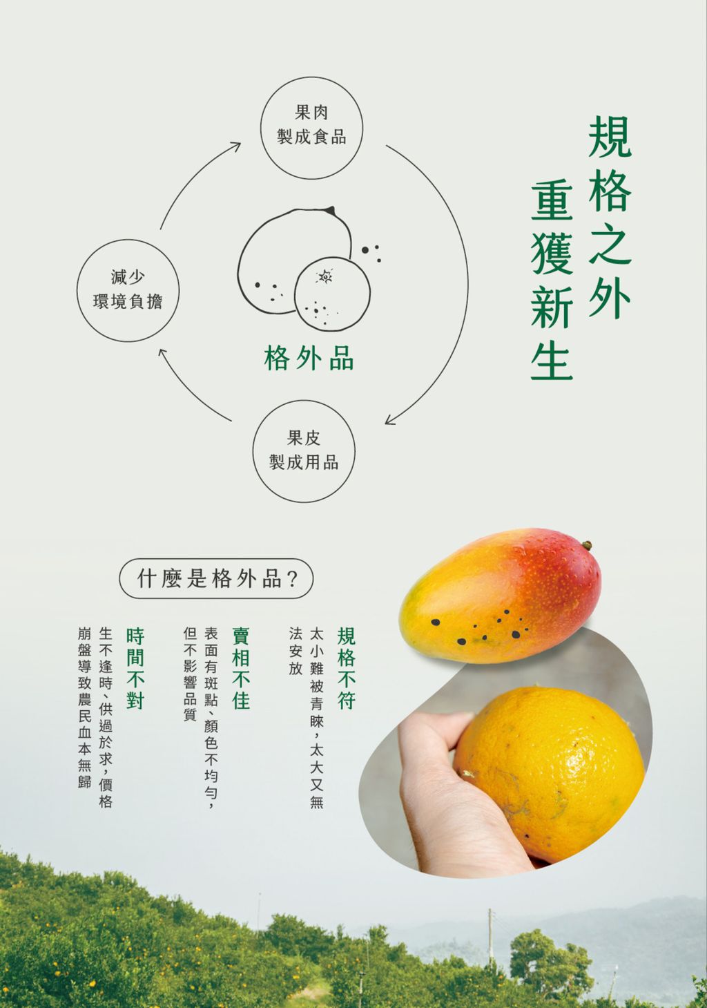 格外品循環說明圖：果肉製成食品、果皮製成用品、減少環境負擔，並說明規格不符、賣相不佳、時間不對三種格外品成因
