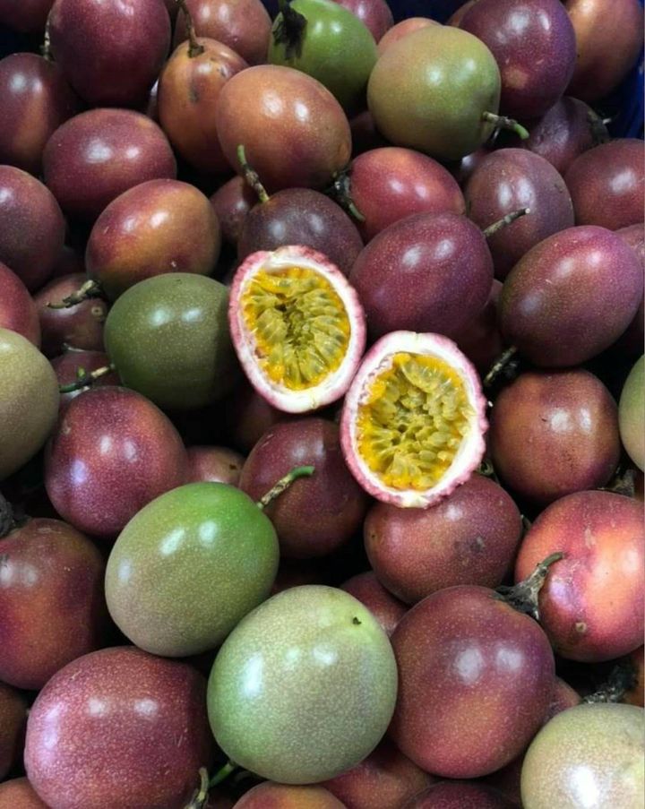 百香果2