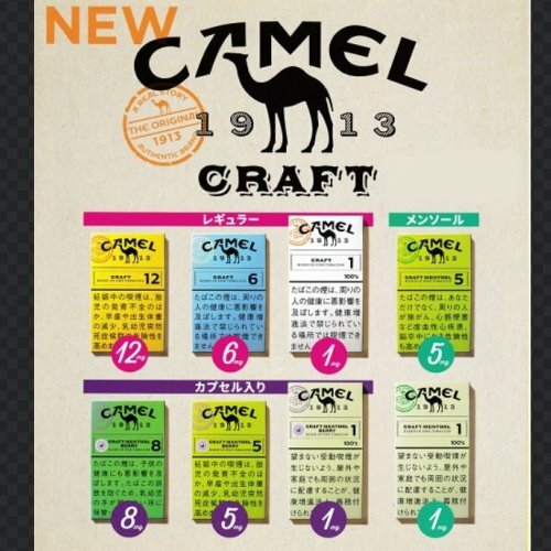 CAMEL Craft Series (17) – JTeXpress