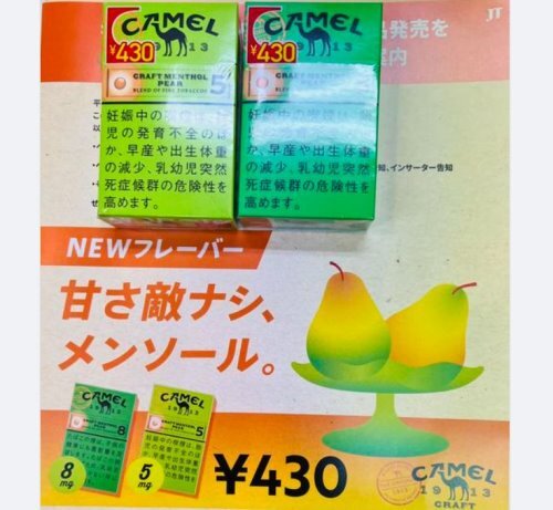 CAMEL Craft Series (17) – JTeXpress