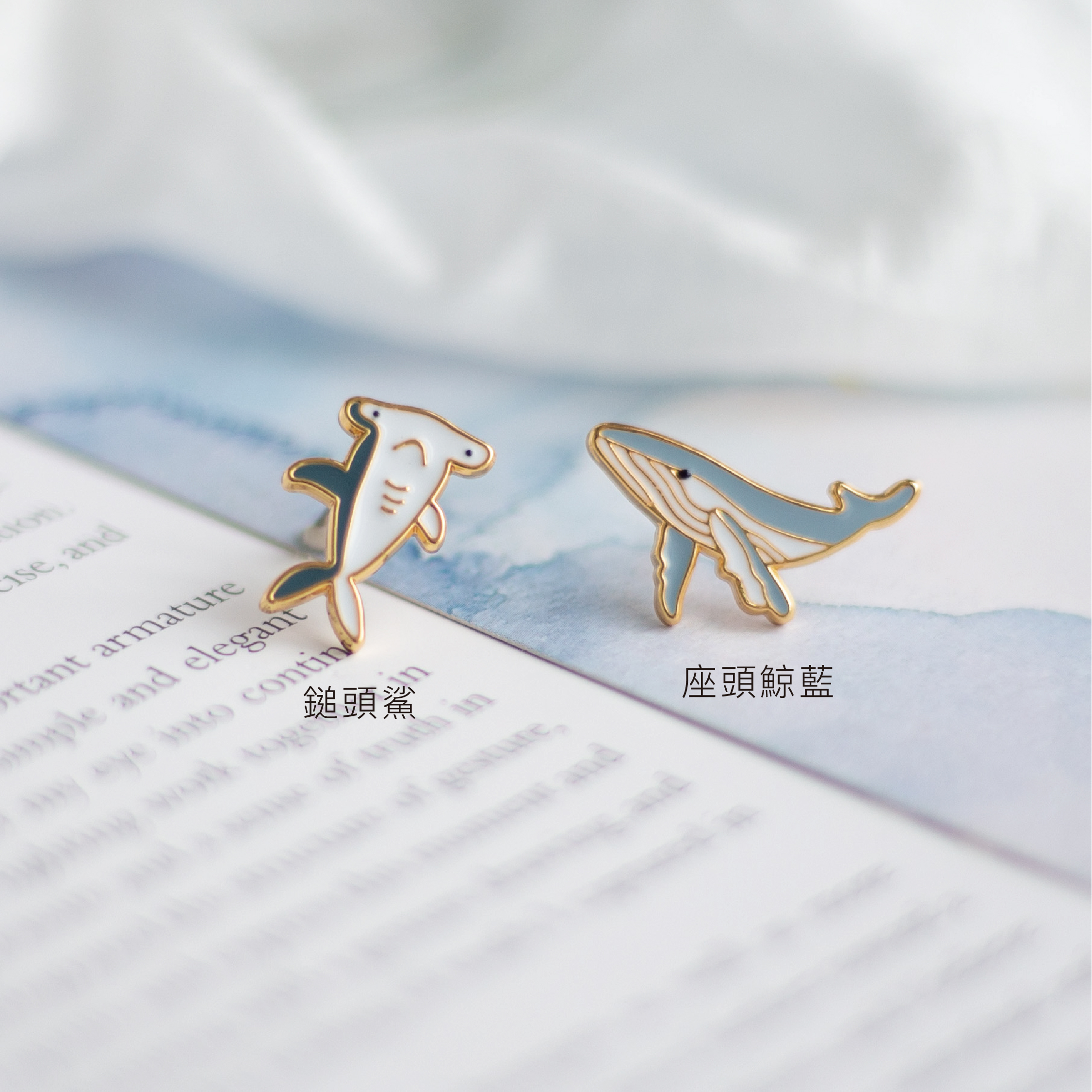 海洋名稱-02.jpg