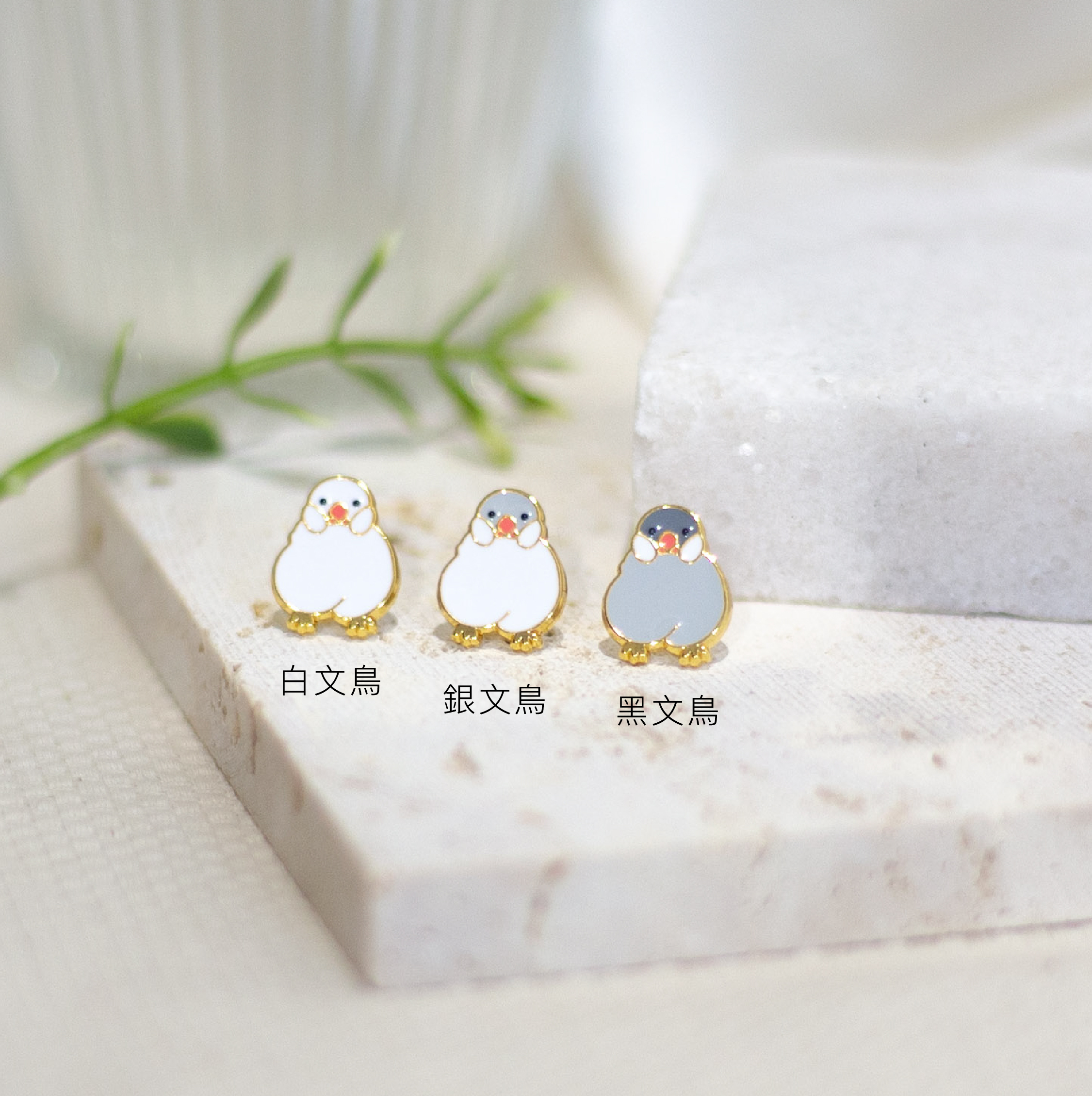 文鳥名稱-01.jpg