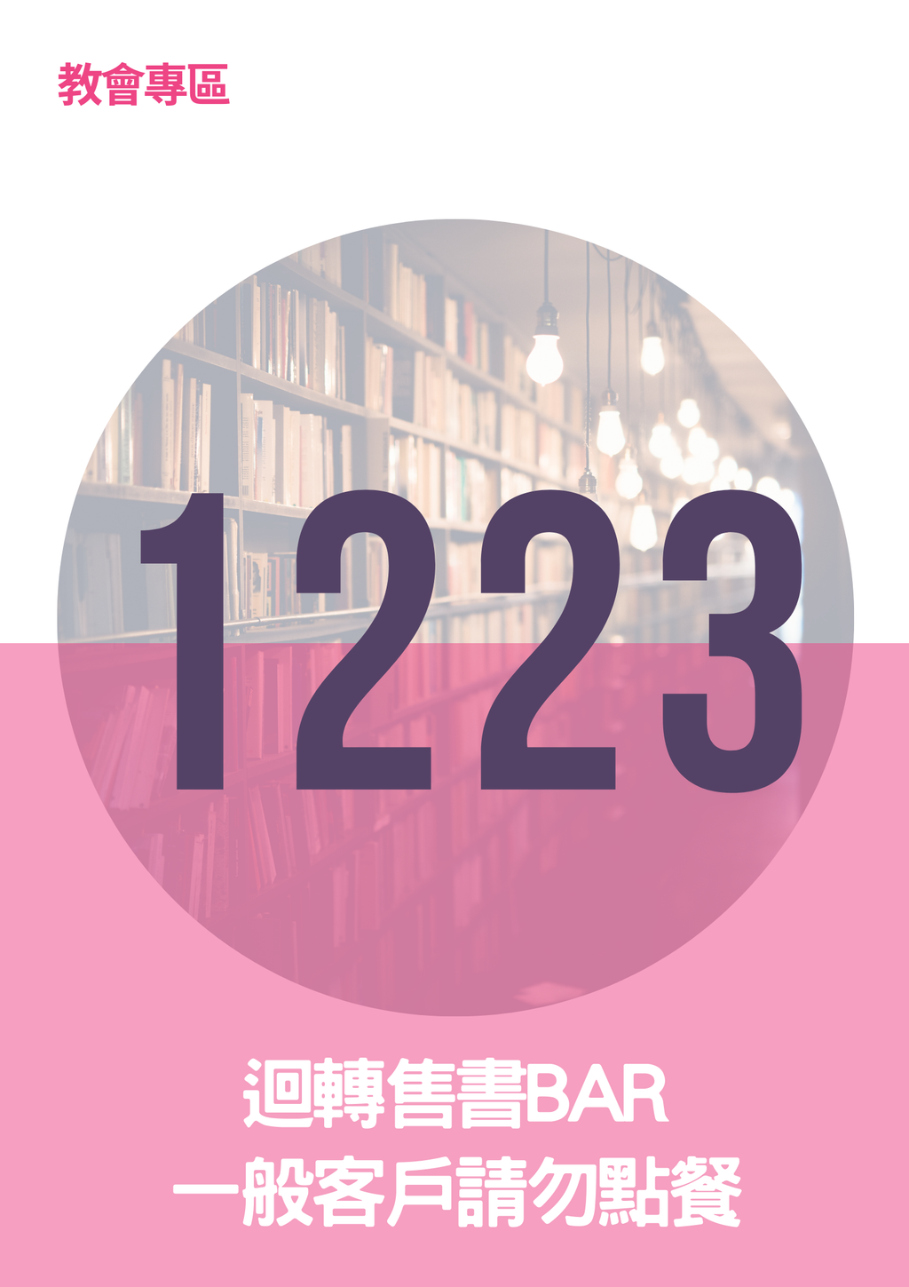 17296213
