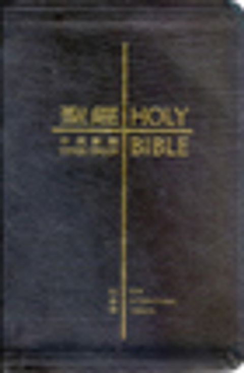 CBT1033