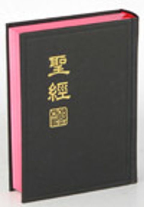 CUNP53A