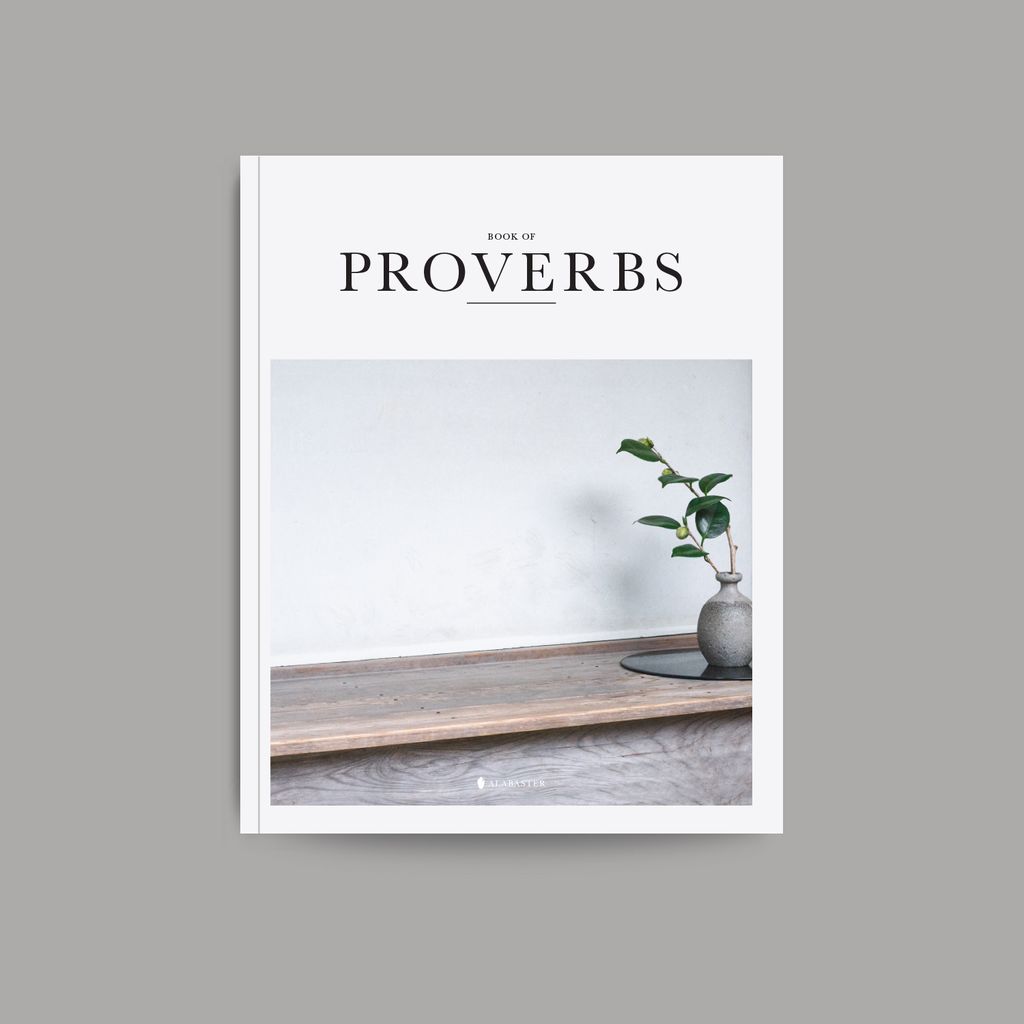 ProverbsNLT cover.jpg